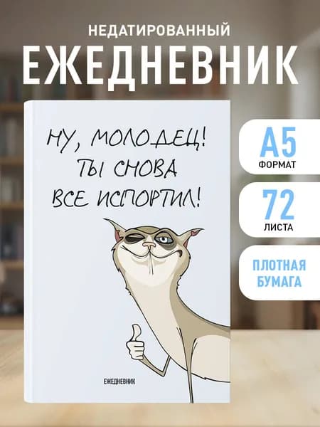 Ежедневник недатированный на 2026 год. Ты снова все испортил (А5, 72 л.)