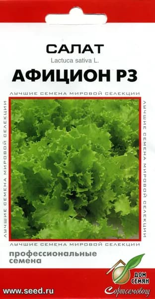 Салат Афицион РЗ, 20 семян