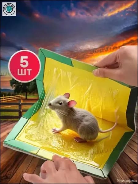 Мышеловки для мышей клеевые, комплект 5 штук