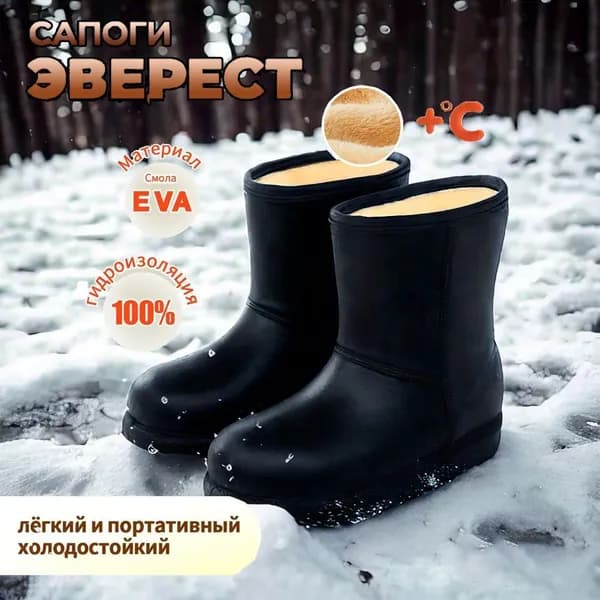 Сапоги