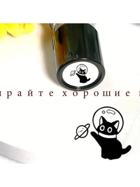 Котик-тюлень