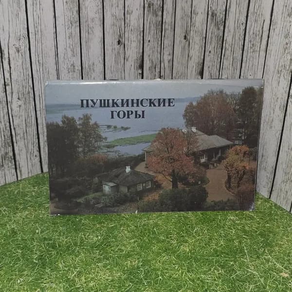 Пушкинские Горы. Савыгин Александр Матвеевич