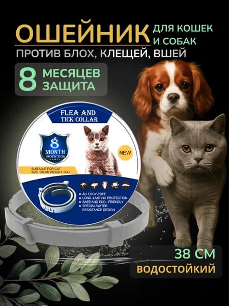 Ошейник для кошек от блох и клещей