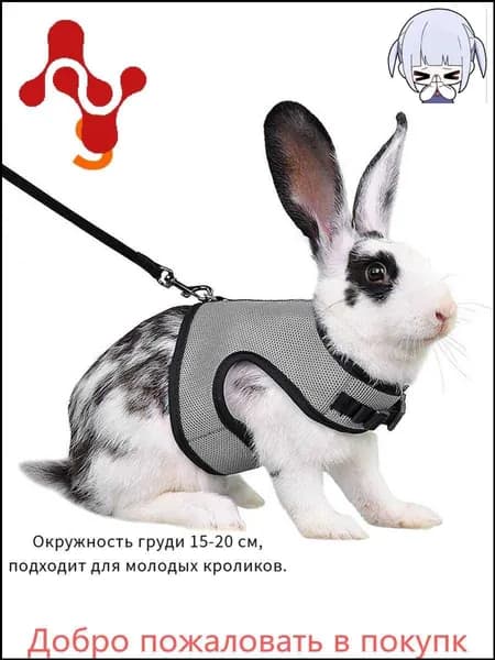 Шлейка жилетка и поводок для грызунов кроликов шиншилл кошек собак