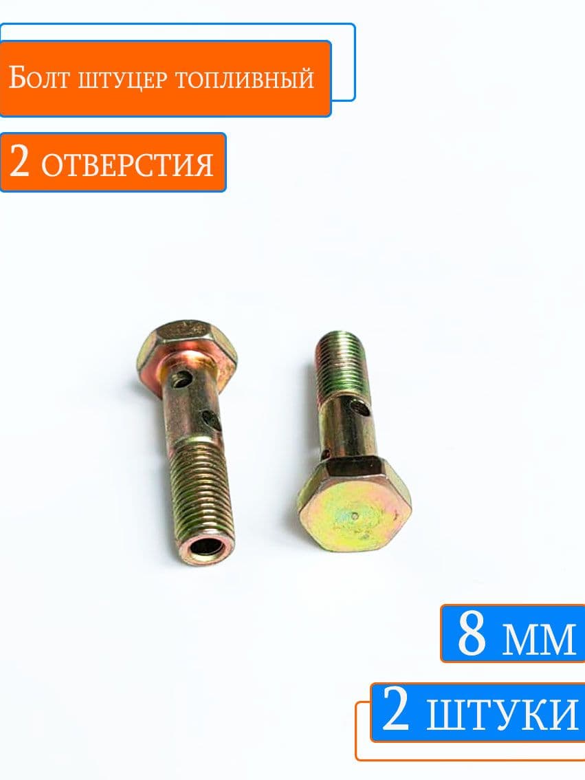 Болт штуцер топливный м8 2 отверстия на форсунку ЕВРО-2 Е2 (2шт)