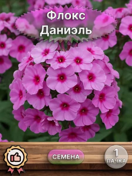 Флокс Даниэль, семена 10 шт.