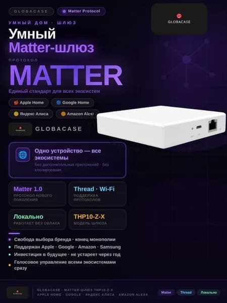 Умный беспроводной шлюз Matter THP10-Z-X