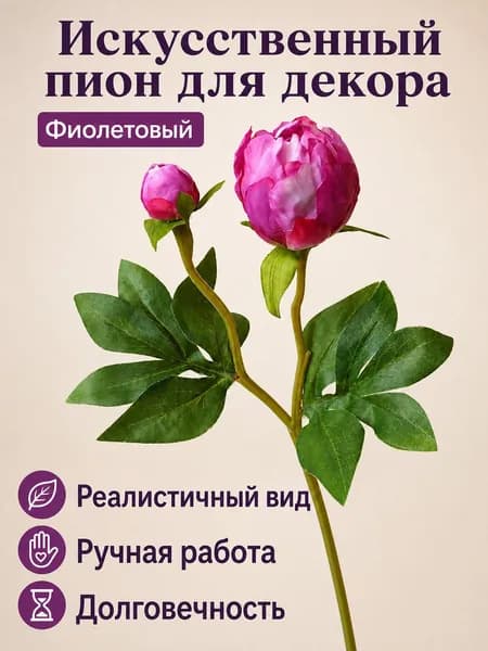 Стабилизированные цветы Пион 1 шт фуксия