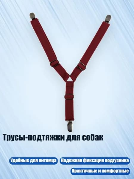 Трусы-подтяжки для собак, 3 - M