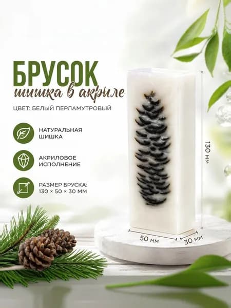 Брусок Шишка в Акриле