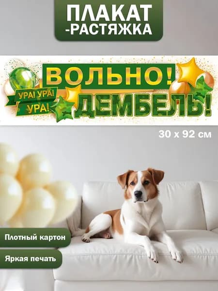 Плакат на дембель ДМБ большой для оформления украшения