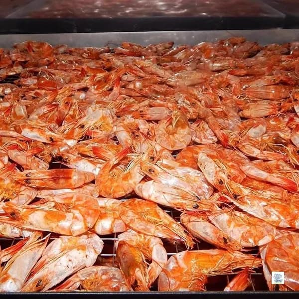 Хрустящие сушеные креветки из Чаошаня, вяленые морепродукты на гриле, готовый к употреблению снек, большие креветки, 2026