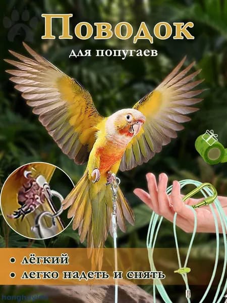 Поводок для попугаев,Шлейка для попугаев,2/3M (на ножное кольцо)