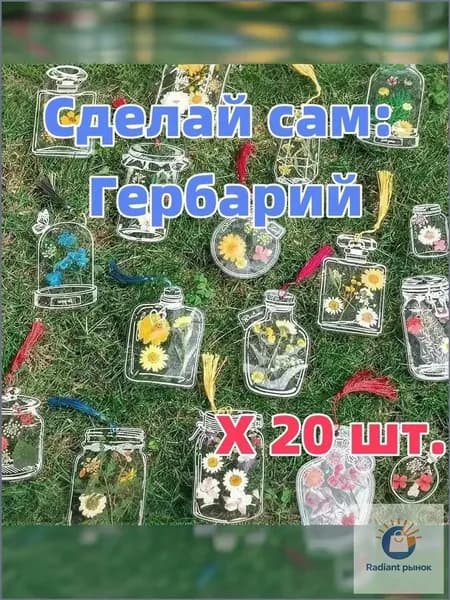 Альбом Гербарий