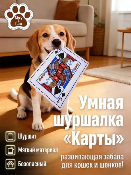 Шуршащая игрушка-карта для собак и кошек Король-шуршалка антистресс, безопасно, хрустит как настоящая, 26.5 18 см