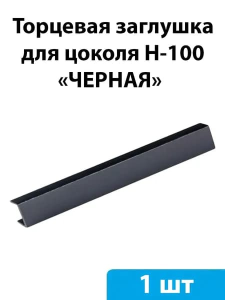 Заглушка торцевая для цоколя H-100мм (черная) - 1 шт