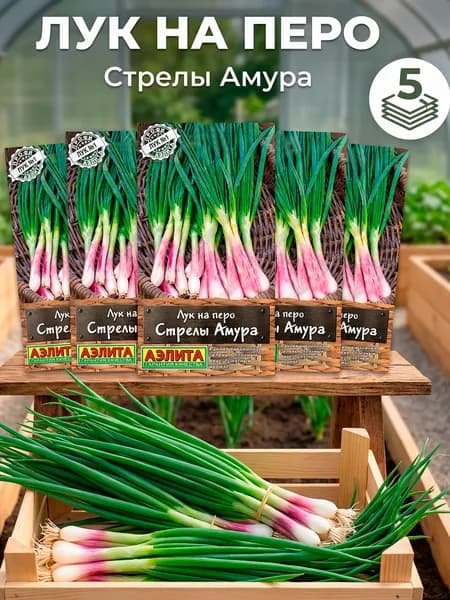 Лук многолетний семена для посадки зимостойкий