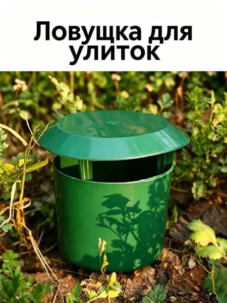Ловушка для садовых вредителей