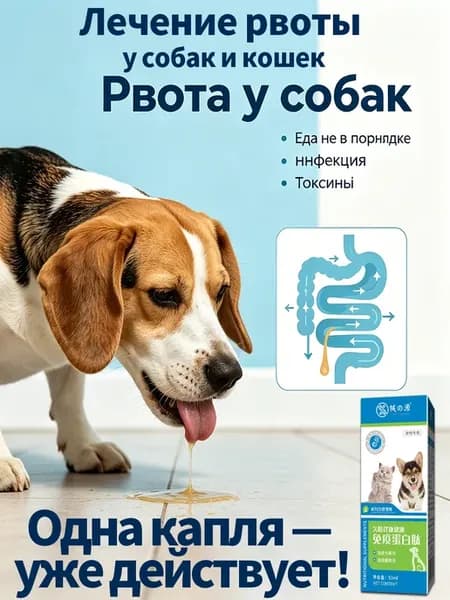 Лекарство от рвоты для собак и кошек