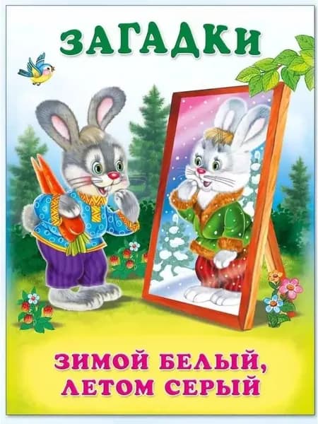 Загадки. Зимой белый, летом серый. Фламинго