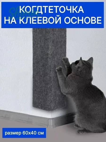 Когтеточка Темная