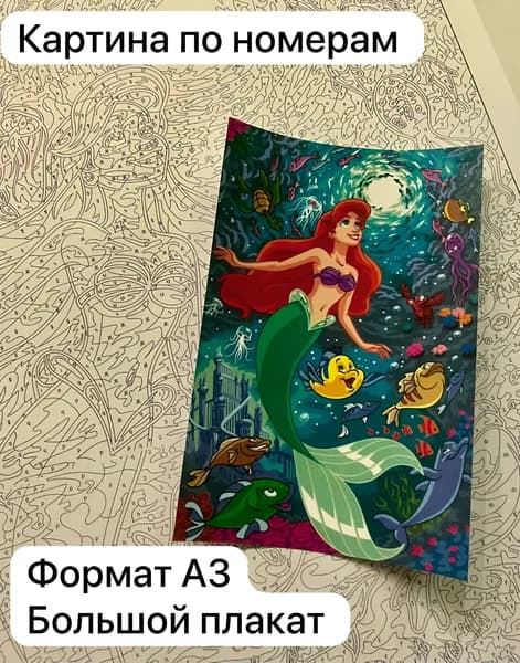 Раскраска по номерам Постер