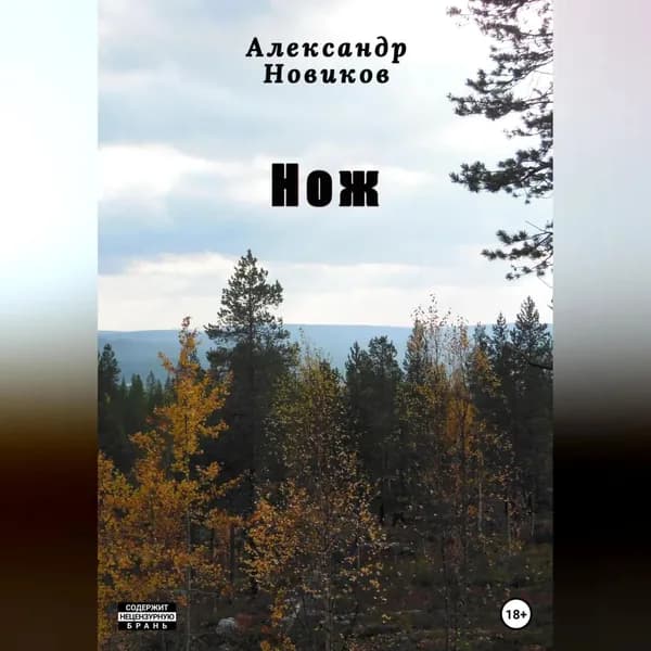 Нож | Новиков Александр | Электронная аудиокнига