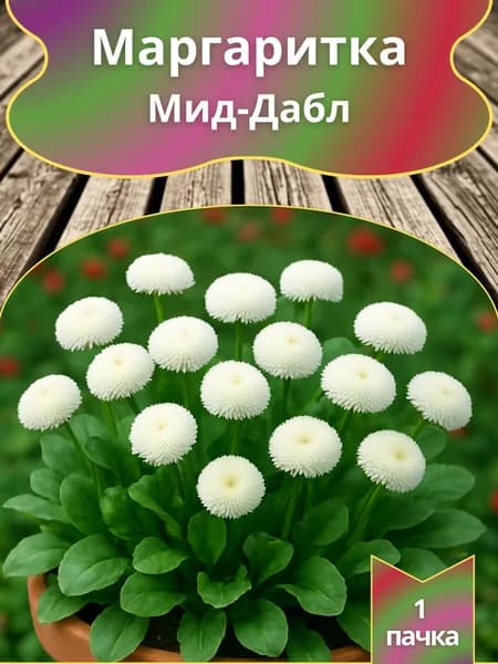 Маргаритка Мид Дабл ,семена 10шт.