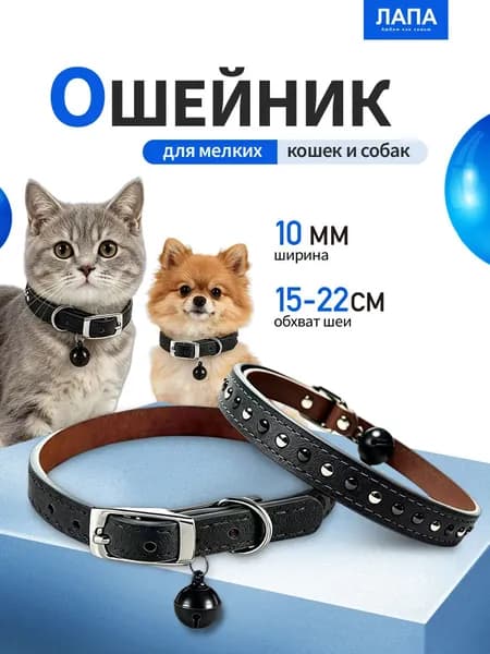 Черный кожаный ошейник для мелких пород собак и кошек, размер 30 см 1 см, подходит для питомцев весом до 5 кг