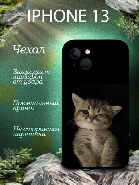 Чехол на Айфон 13 с принтом Кот