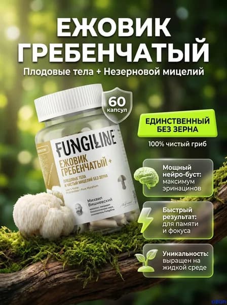 Ежовик гребенчатый, + 60 капсул