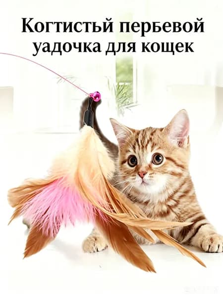 Стальная удочка с перьями для кошек