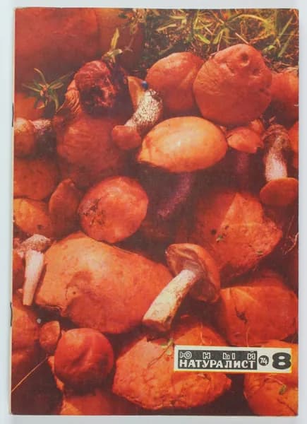 Винтажный журнал СССР Юный Натуралист, 1974 год
