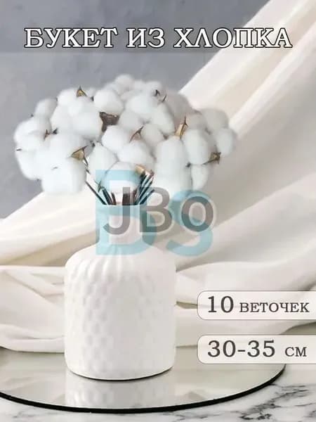 Сухоцветы Хлопок, 35 см, 20 гр, 10 шт