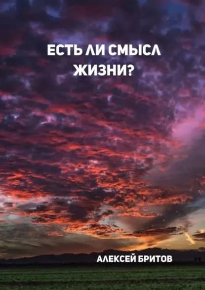 Есть ли смысл жизни? | Бритов Алексей | Электронная книга