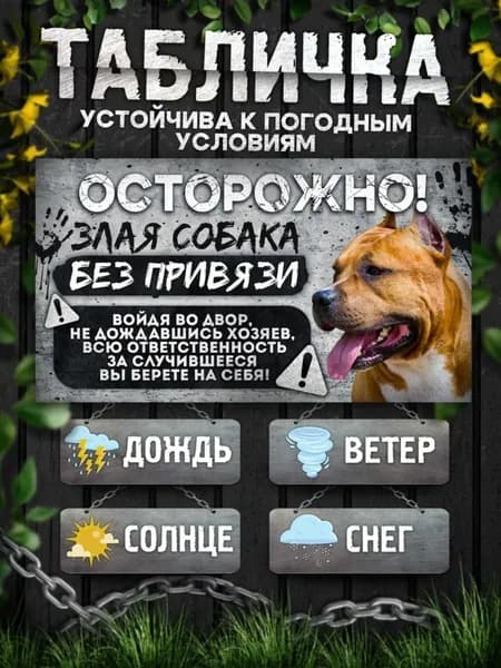 Табличка, на забор, DANGER DOG, Осторожно! Во дворе собака без привязи, Стаффордширский терьер, 20x30 см
