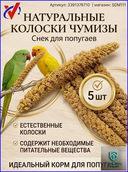 Чумиза для попугаев 5 шт. сенегальское просо лакомство игрушка для птиц и грызунов