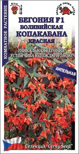 Бегония Копакабана красная /Сотка/ 5шт/*