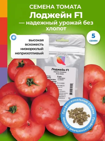 Лоджейн F1 семена томатов низкорослых, 5 шт. (Enza Zaden / ALEXAGRO). Высокоурожайный, детерминантный гибрид для открытого грунта и пленочных теплиц