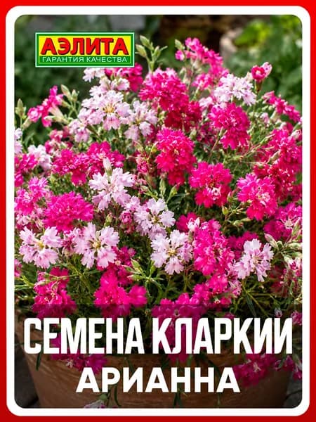 Семена кларкия "Арианна", смесь, 0,1 г, однолетние цветы, для дачи, сада и огорода, клумбы, в открытый грунт