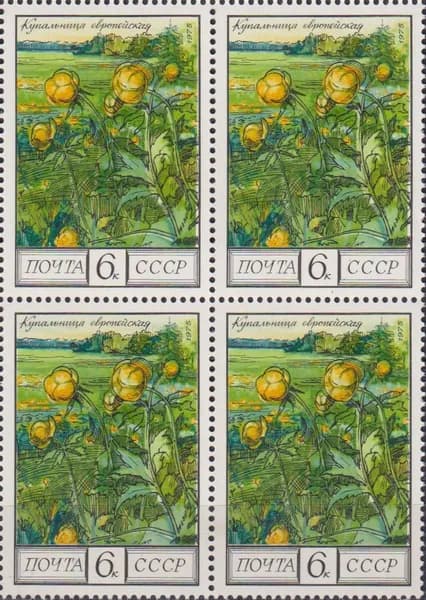 Почтовые марки СССР 1975г. "Цветы - Купальница европейская" Цветы MNH
