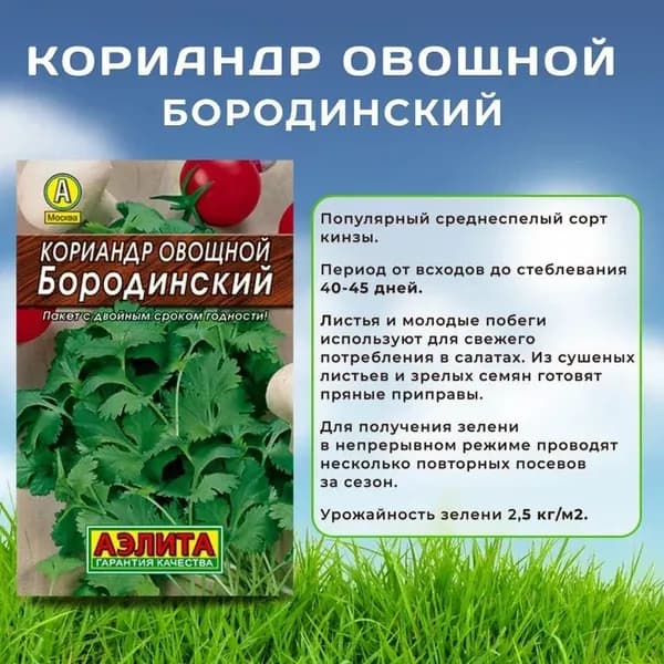 Семена Кориандр овощной Бородинский, Агрофирма Аэлита