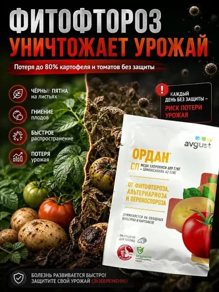 Фунгицид Ордан защита от фитофторы и болезней растений