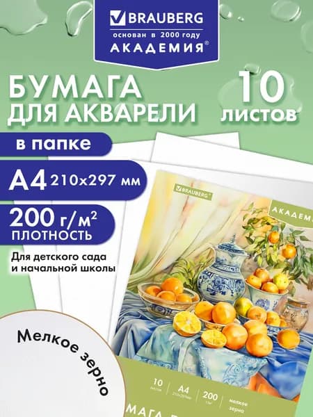 Бумага для акварели белая, для рисования А4, набор 10 листов в папке, 200 г/м2, Brauberg Академия Апельсины