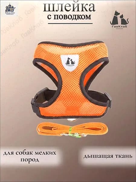 Шлейка для собак мелких и средних пород с поводком