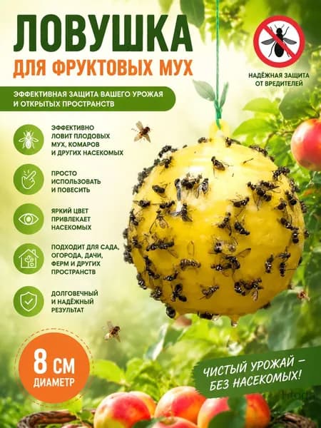 Ловушка для садовых вредителей