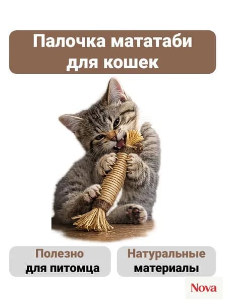 Палочка мататаби для кошек, игрушка для кошек жевательная палочка
