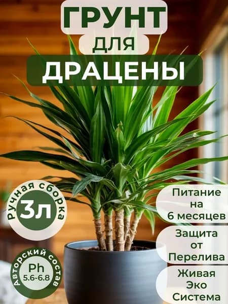 Готовый авторский грунт для Драцены,премиум 3 литра
