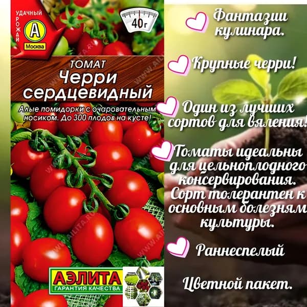 Аэлита Семена