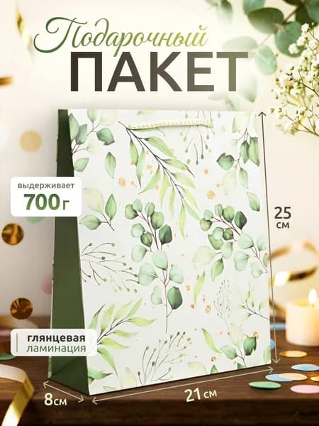 Подарочный пакет " Present for you " 21х25x8см пакет для подарка на день рождения